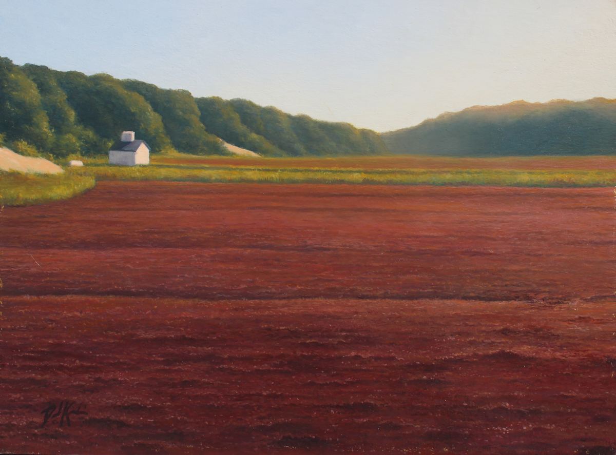 Cape Cod Cranberries by David Kooharian  Image: Ripening cranberries on Cape Cod.