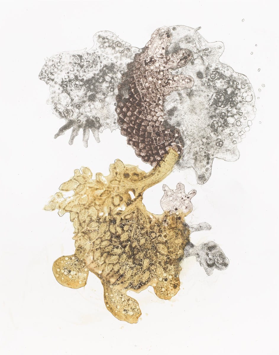 Mutant 12 by Barbara Fisher, Image 1.