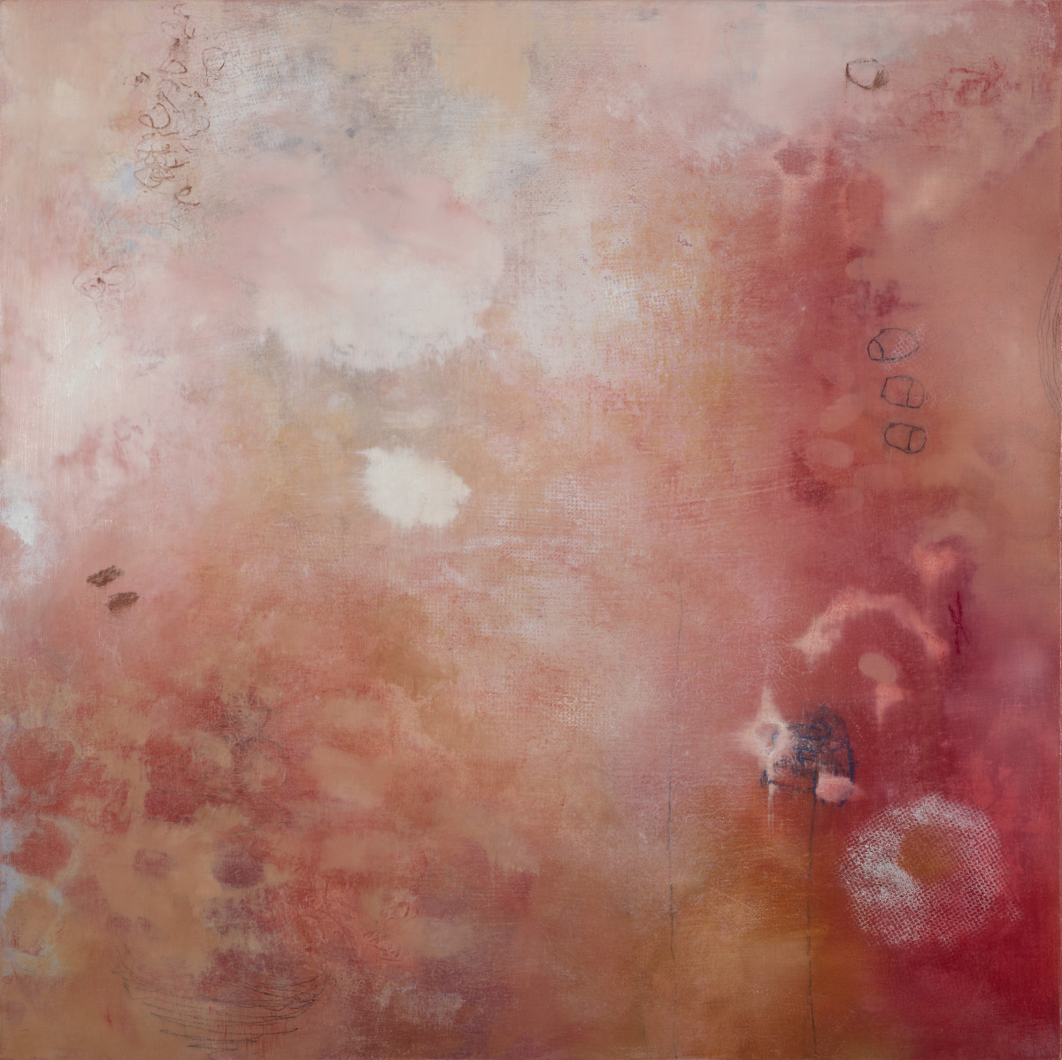 Sweet Dreams - NONE by Barbara Fisher 