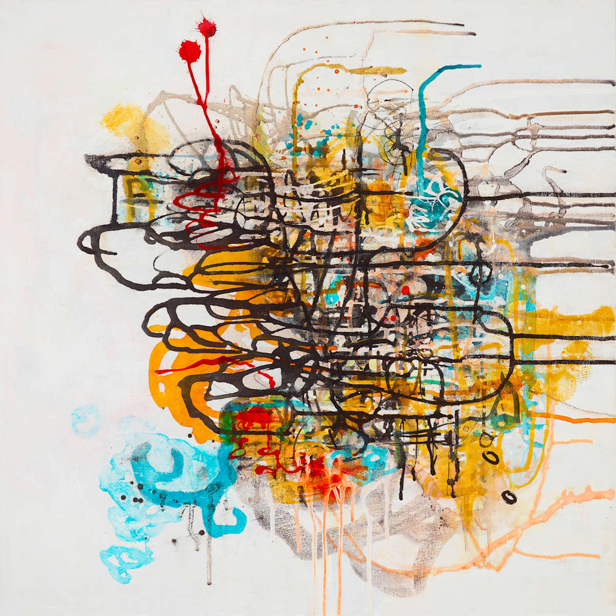 Tangled Mapping.6 by Barbara Fisher, Image 1.
