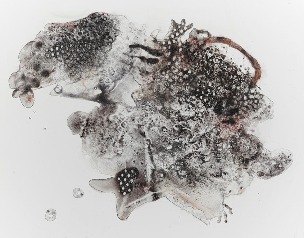 Mutant 11 by Barbara Fisher 