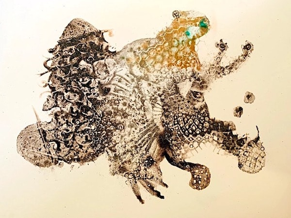 Mutant 53 by Barbara Fisher 