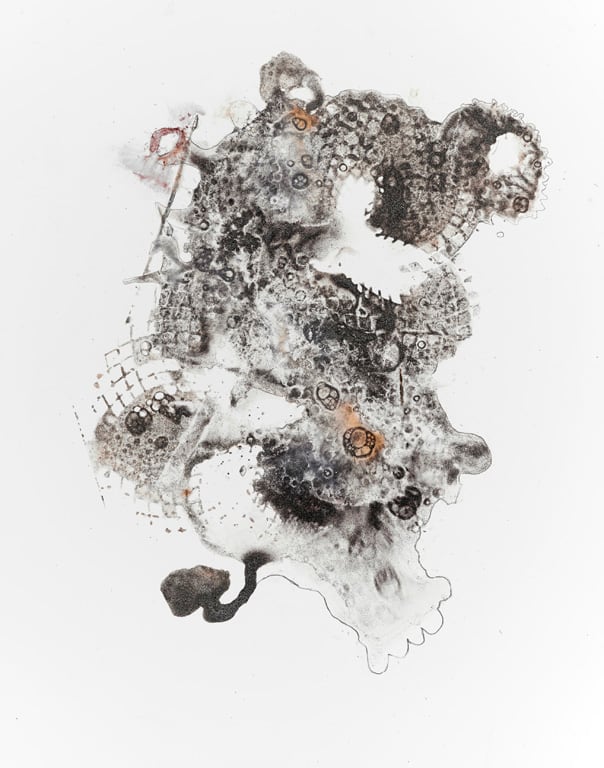 Mutant 3 - GONE by Barbara Fisher, Image 1.