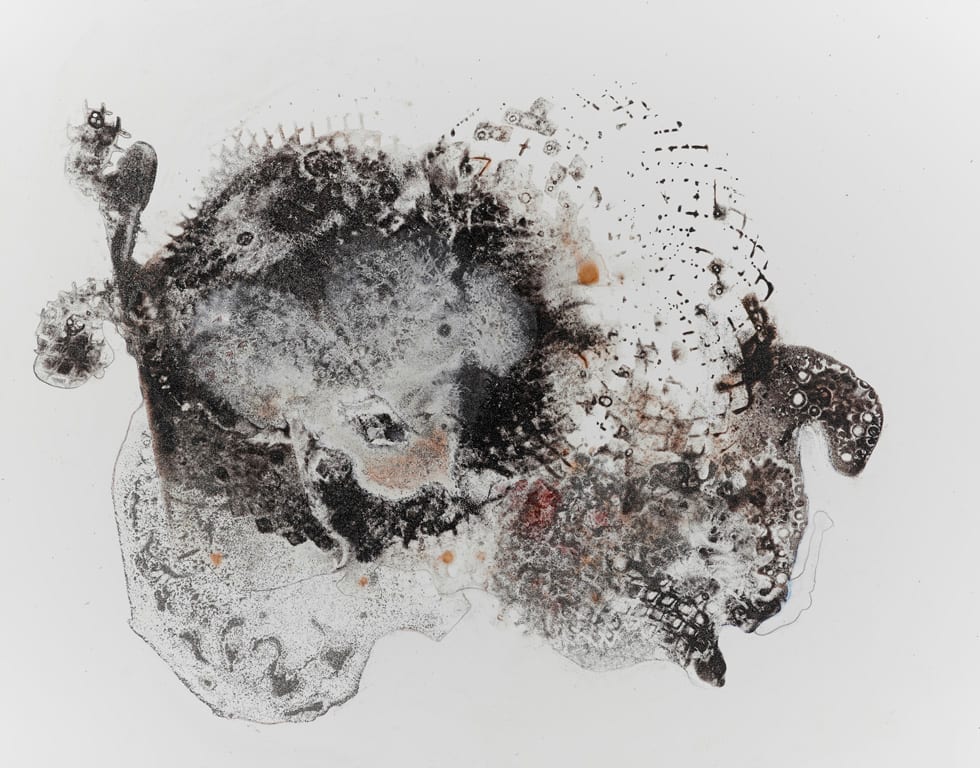Mutant 6 - GONE by Barbara Fisher, Image 1.
