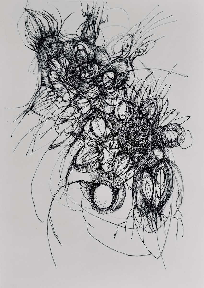 Shellebration by Darcy Johnson, Image 1.