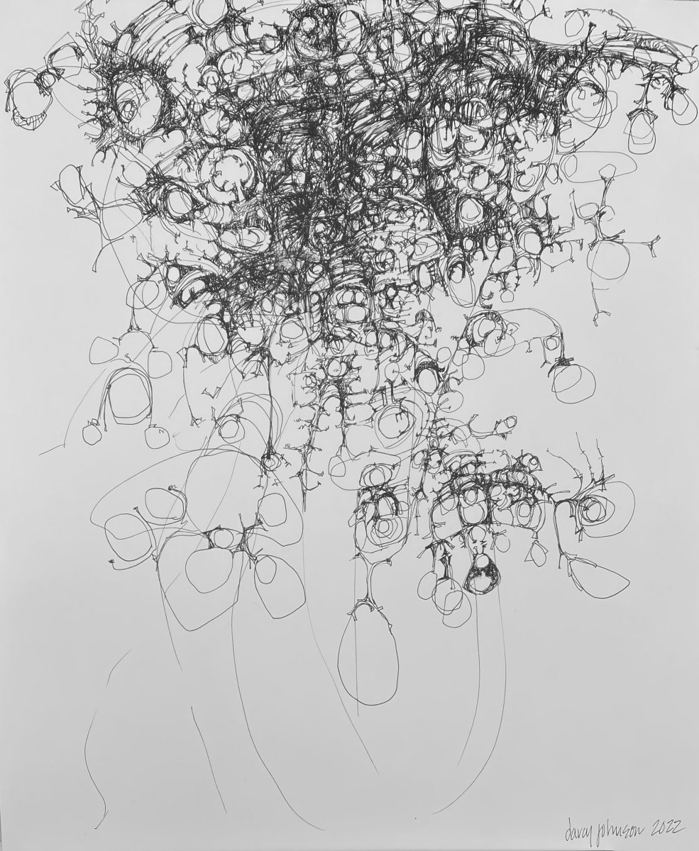 Dangle by Darcy Johnson  Image: 'Dangle' ink on paper