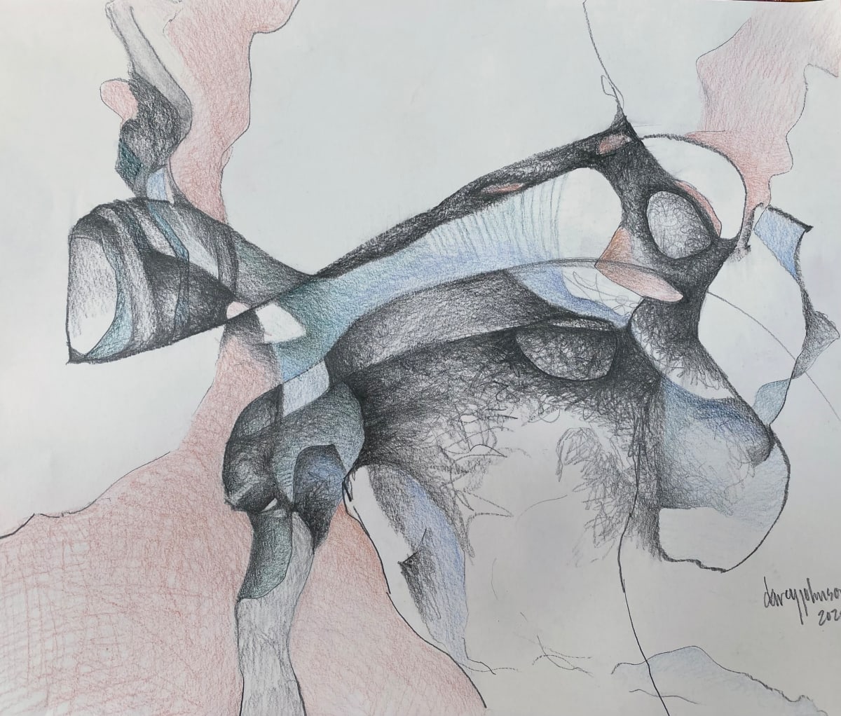 Echo by Darcy Johnson  Image: 'Echo',  graphite and pencil crayon on paper