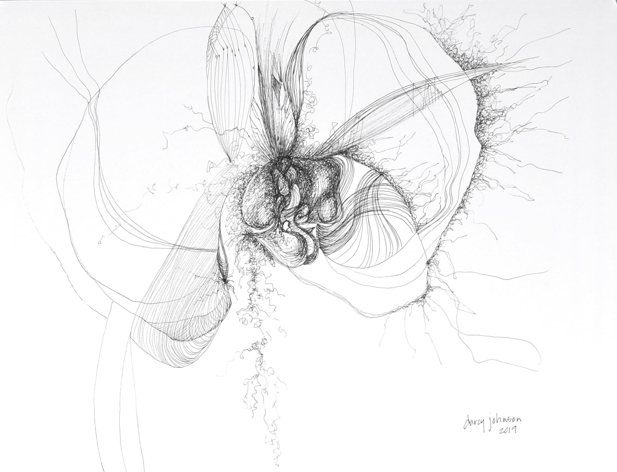 Orchid by Darcy Johnson 