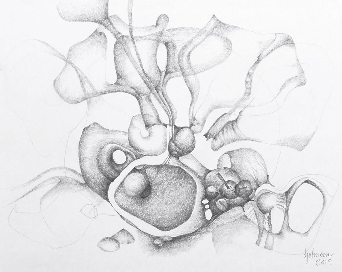 Intertidal by Darcy Johnson, Image 18.