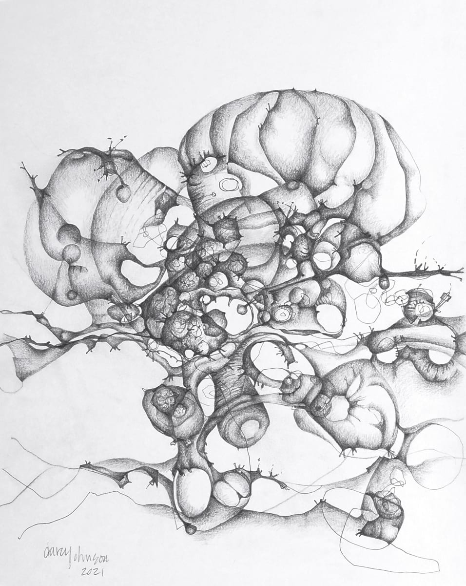 Fungi by Darcy Johnson 