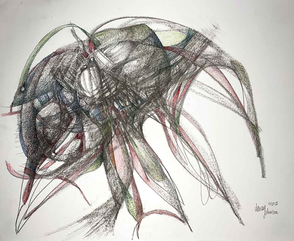 Swimming by Darcy Johnson, Image 1.