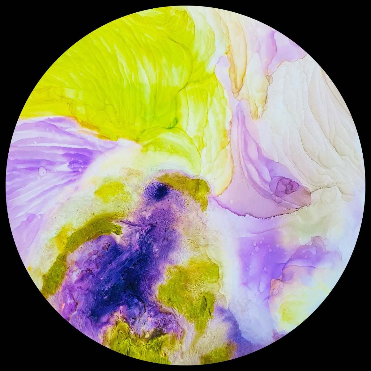 Dancing Iris by Umbreen Hasan, Image 1.