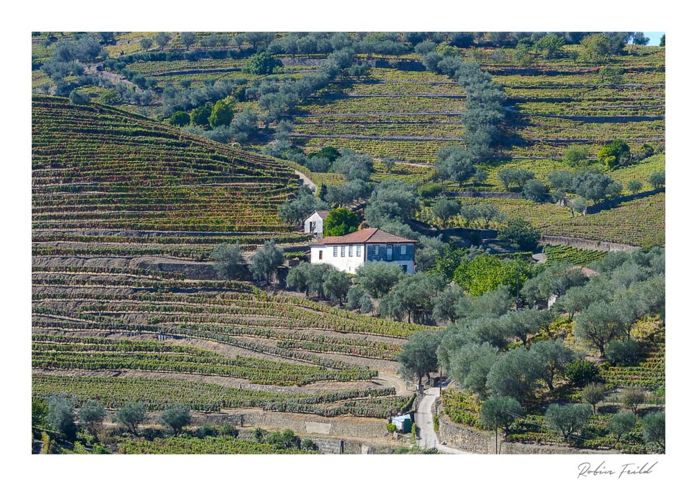 Colours Of The Douro V 