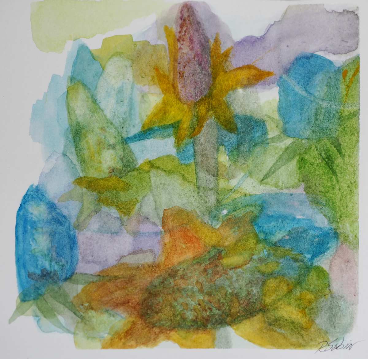 Coneflowers by Rebecca Sobin 