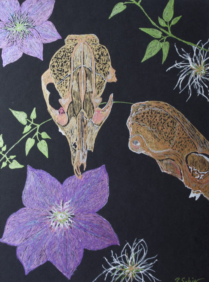 Skull and Clematis 