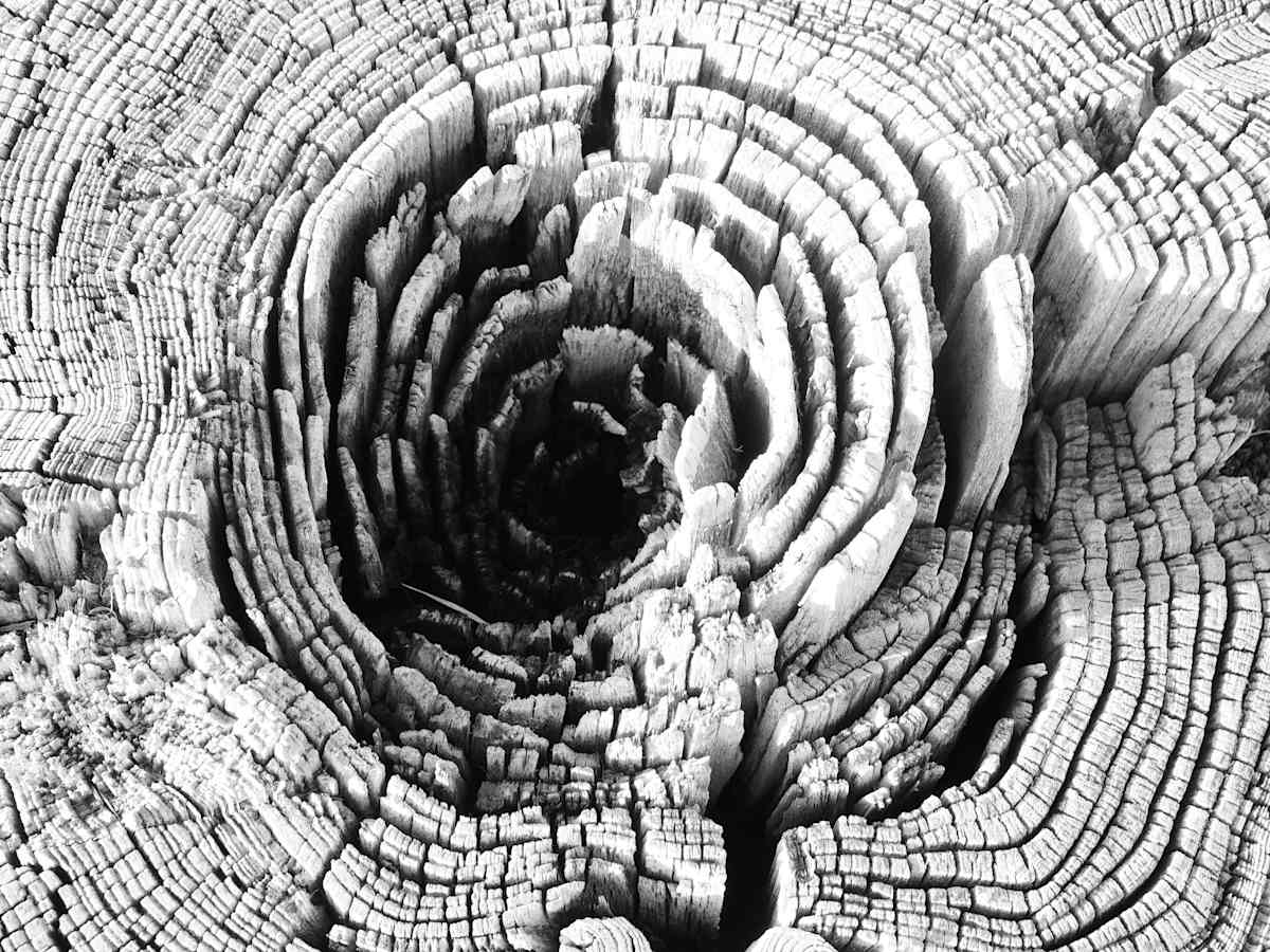 Further In by Rebecca Sobin, Image 2.