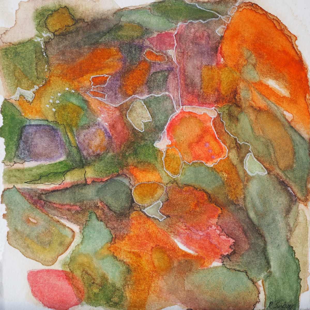 Montana Agates by Rebecca Sobin 