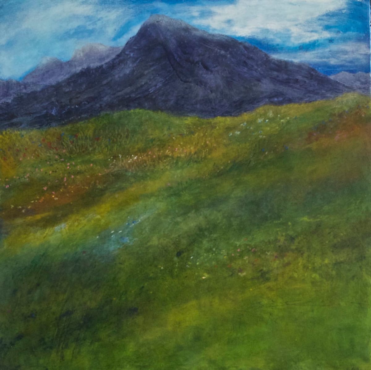 Mountain Meadow by Rebecca Sobin 