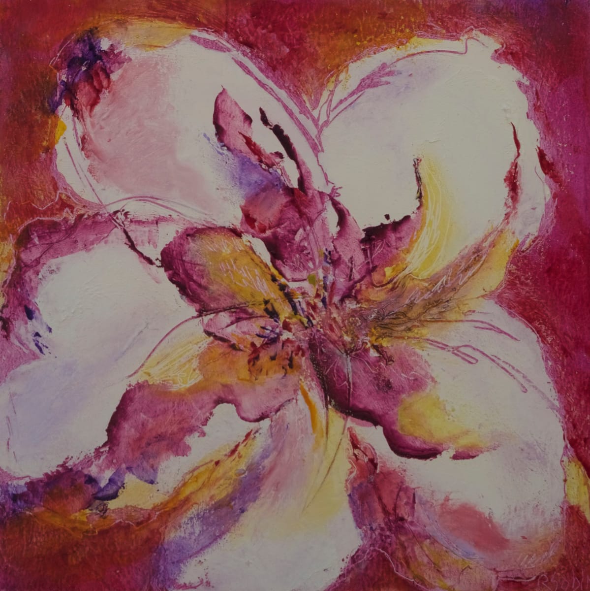 Stargazer I, Image 11.