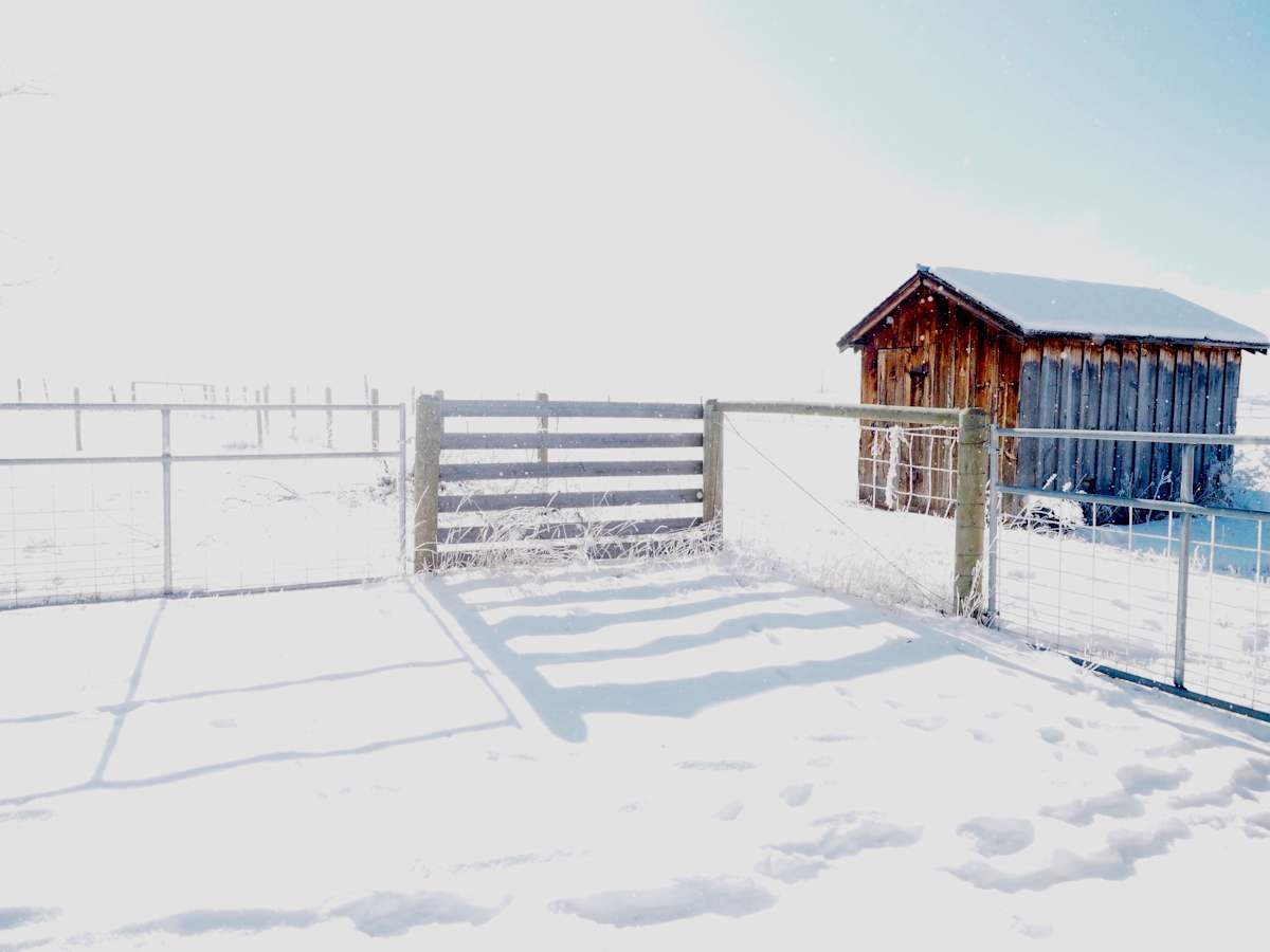 Winter Shadows by Rebecca Sobin, Image 11.