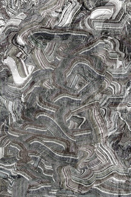 TANGLED IN GRAY by Michael L Williams 