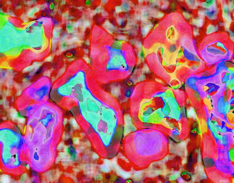 SWIM by Michael L Williams 