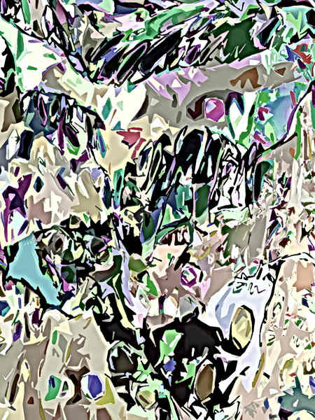 untitled  (2026 01 28 06) by Michael L Williams, Image 1.