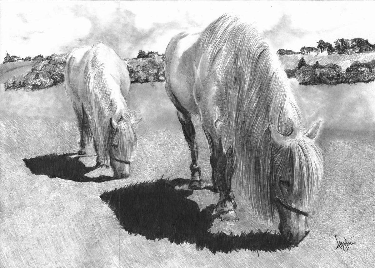 Horse pair 