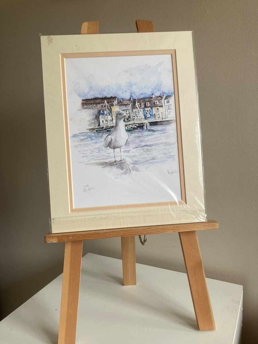 Weymouth Gull (Print) 