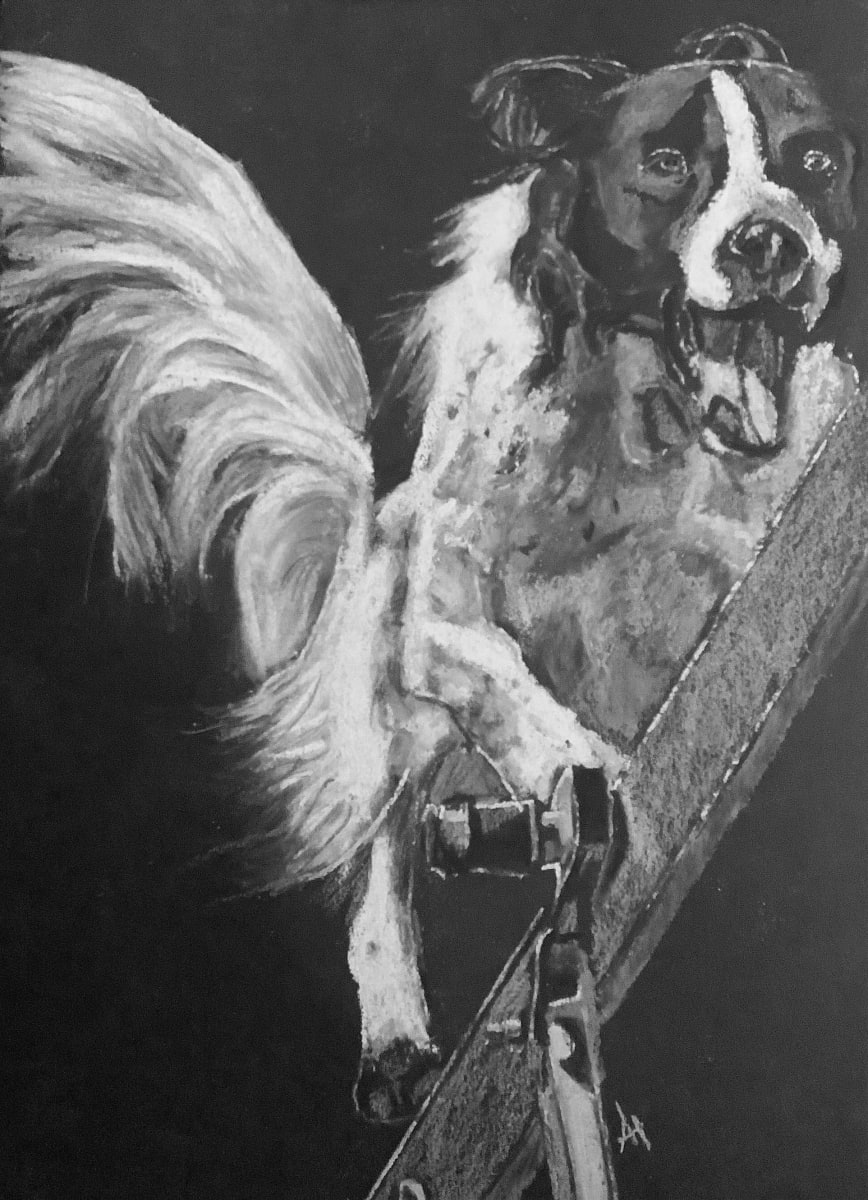 Hector  (white on black) 