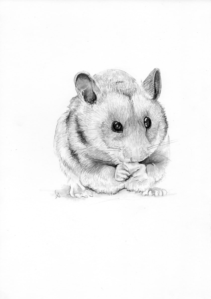 Hamster Commission  Image: Hamster Commissions