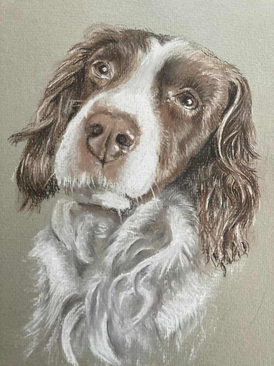 Spaniel  (pastel) by Ally Tate 