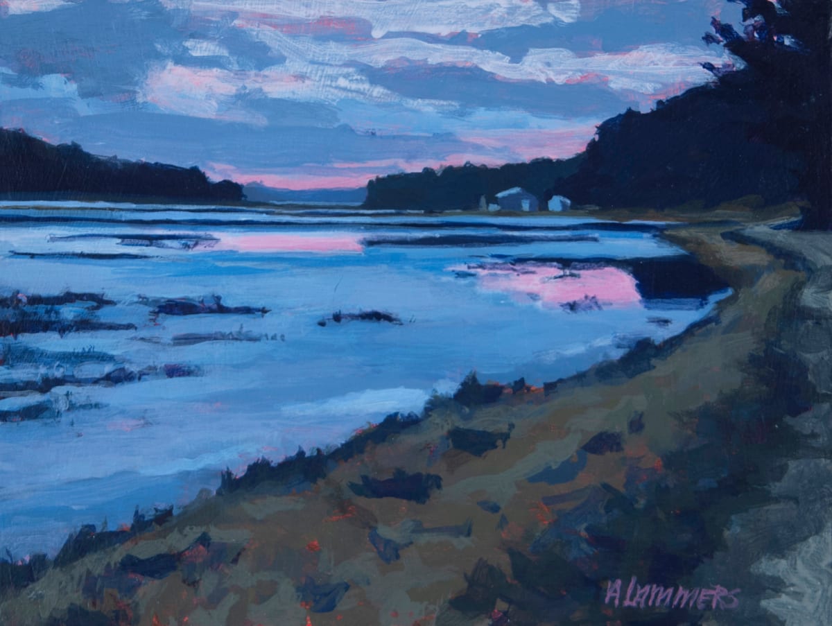 February Sunset - bogs by Abby Lammers 