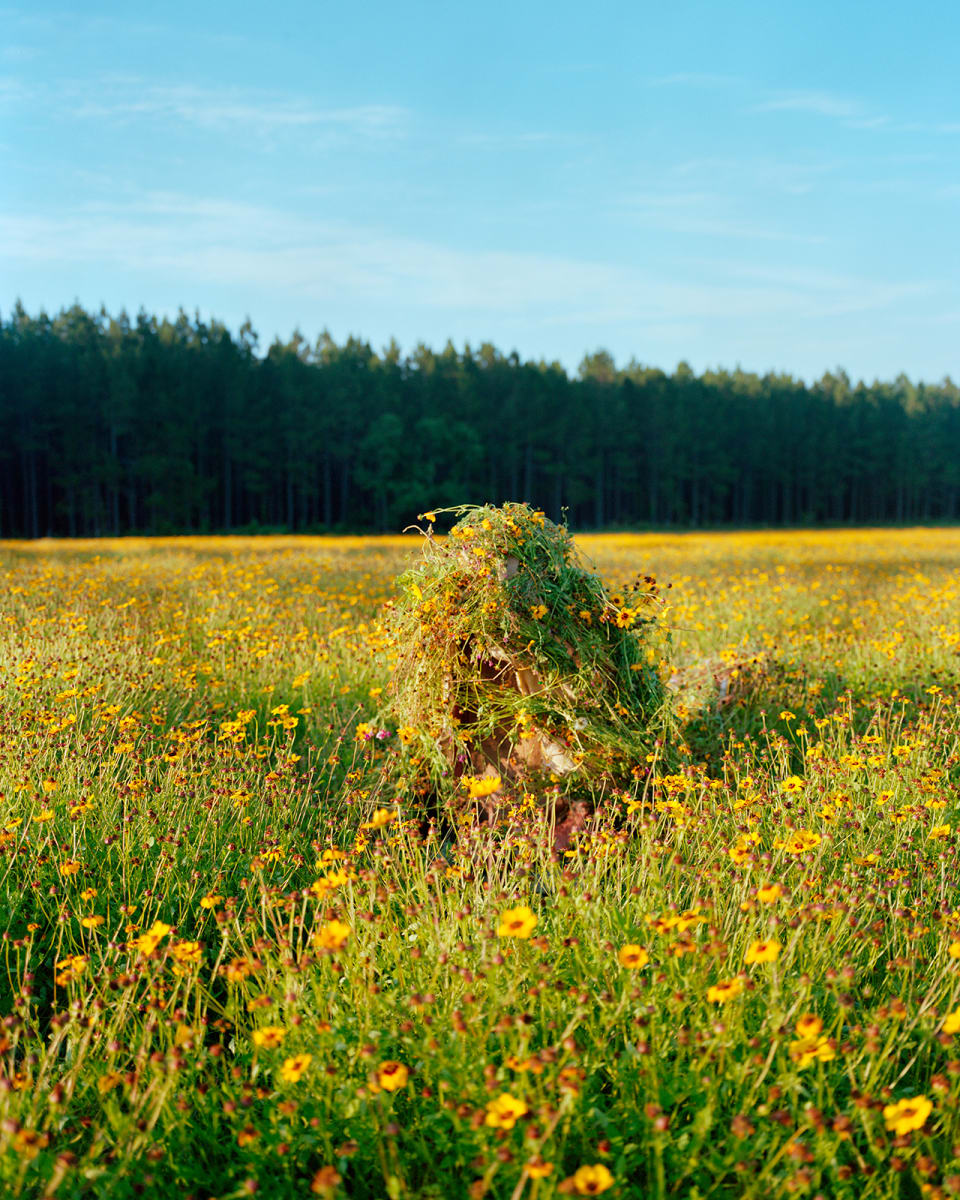 Ghille Suite 1 (Flowers) by Jeremy Chandler  Image: Alt text long description: A field of bright yellow wildflowers extends in the foreground, creating a carpet of blossoms leading towards a distant forest. In the center, a pile of interwoven grasses and flowers forms a natural-looking mound. The wildflowers are scattered across lush green grass, adding a splash of color to the scene. In the background, a dense band of tall, dark trees forms a sharp line below a clear blue sky. Soft, white clouds are faintly visible, adding to the serene atmosphere of the image. Note: the alt text was written with support from the ASU Image Accessibility Creator AI tool.