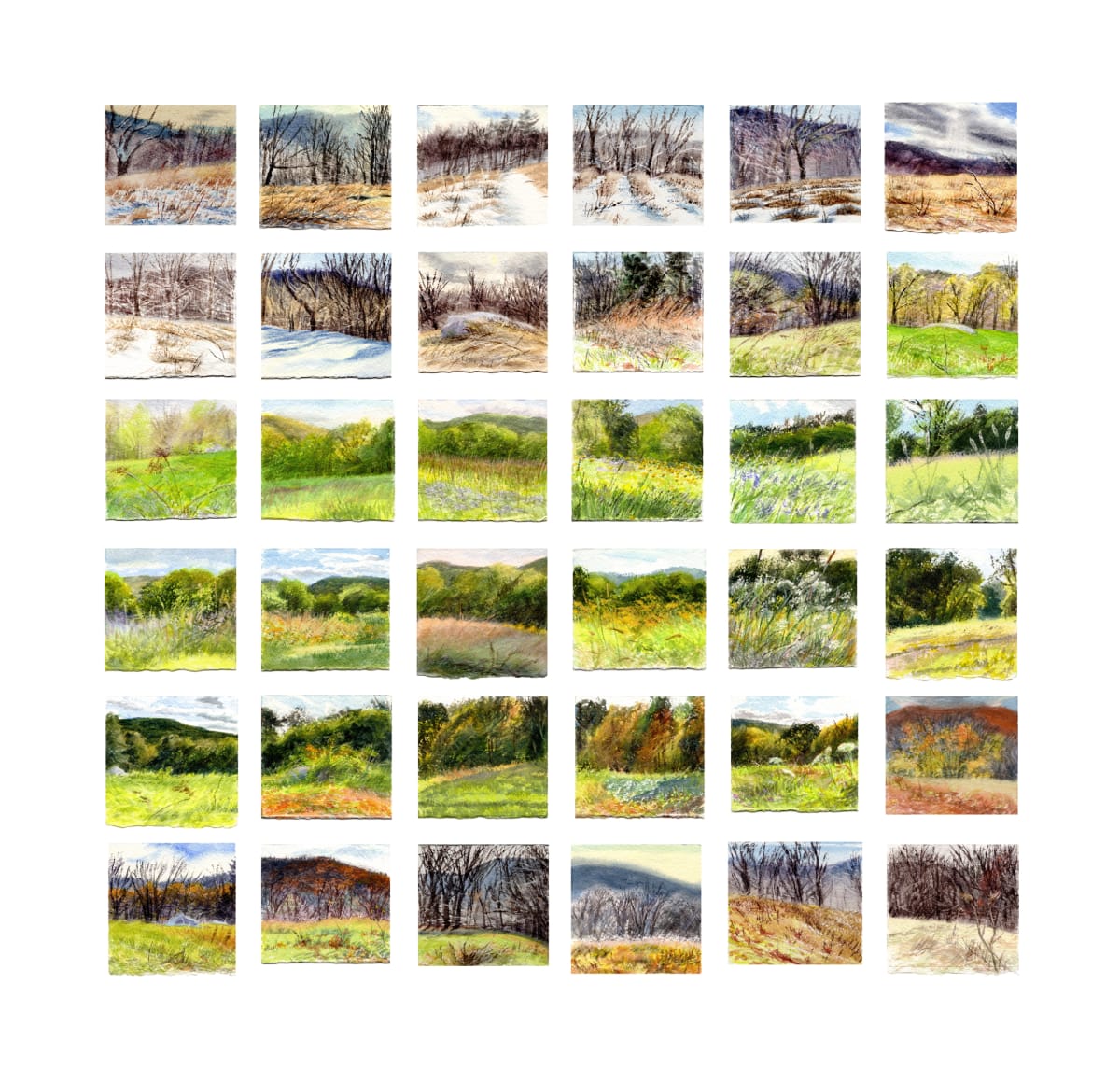 One Field by Ellen Moon 