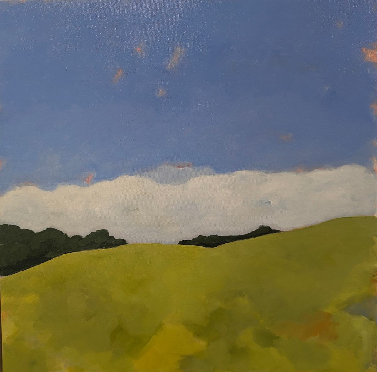 late summer hill by Suzan Scott 