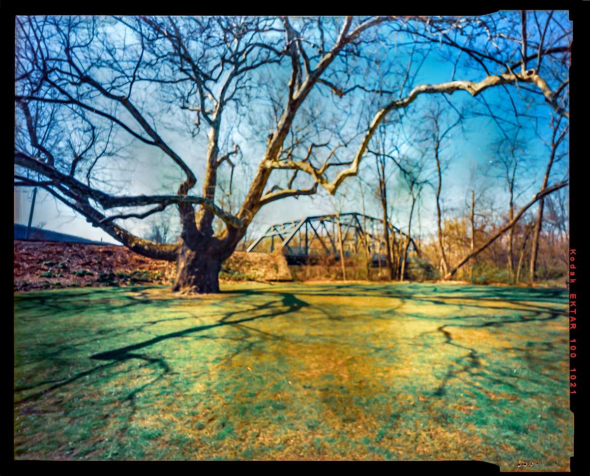 Simsbury 1 by Peter Brown  Image: Alt text long description: The photograph depicts a serene outdoor scene featuring a large, leafless tree prominently in the foreground, its thick branches extending across the sky. The grass surrounding the tree is a mix of green and brown, suggesting early spring or late autumn. In the background, there is a metal truss bridge visible through a line of bare trees, indicating a rural setting. The sky is a vivid blue, with subtle cloud patterns. The overall composition conveys a calm and expansive landscape with clear, sharp shadows cast by the tree. Note: the alt text was written with support from the ASU Image Accessibility Creator AI tool. 
