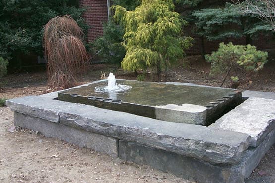 "Winged Eunonymus Fountain" by David Phillips 
