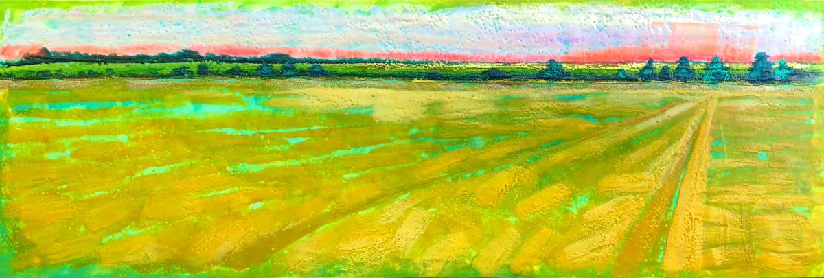 Light Across the Cornfields by Sally Bramble 
