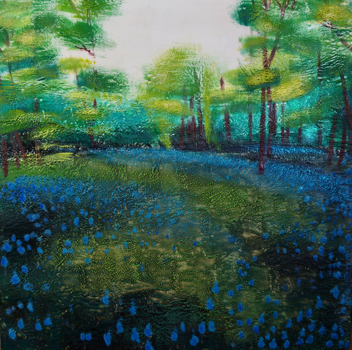 Bluebell woods, Image 1.
