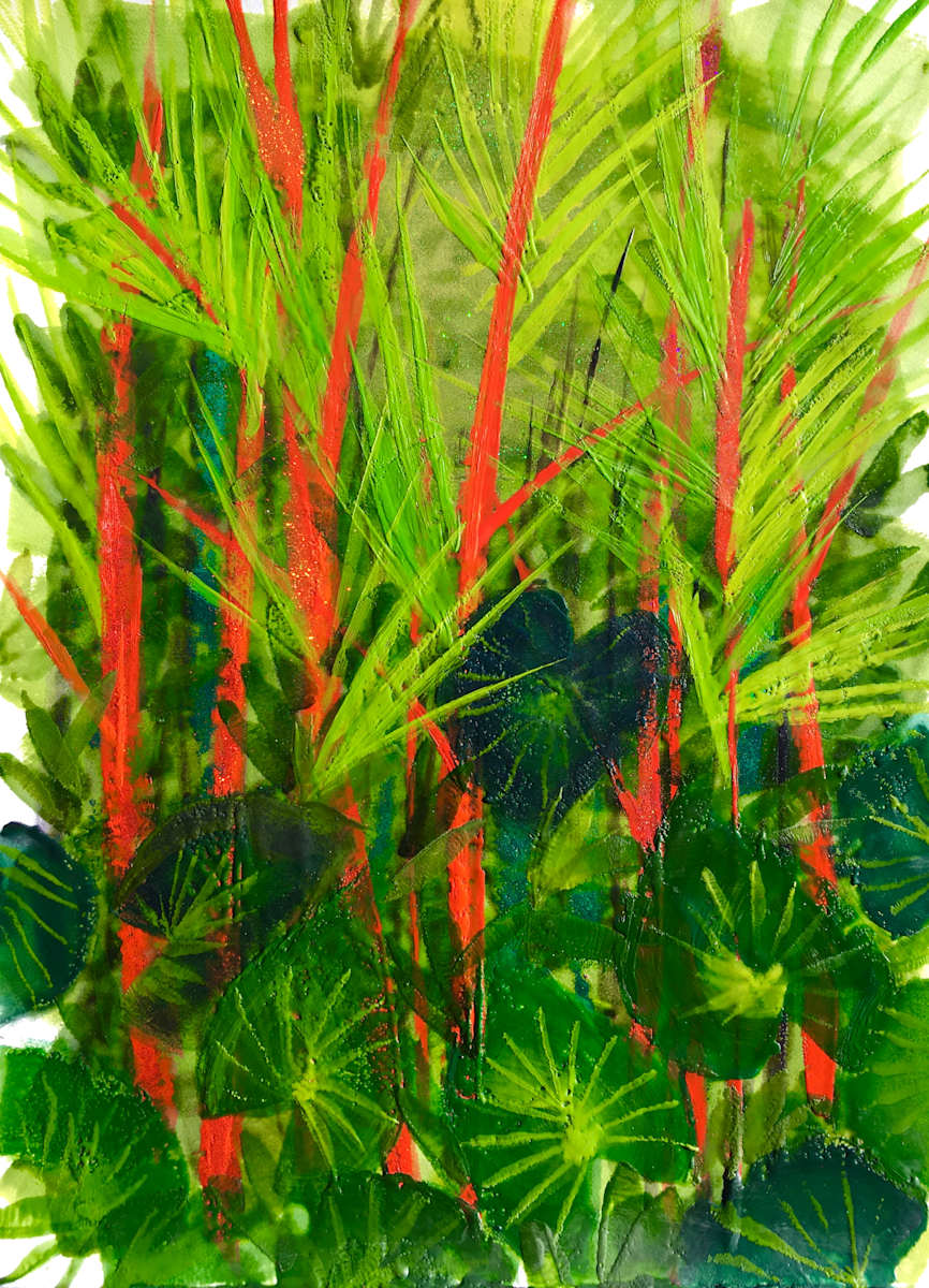 Lipstick Palm, Image 1.