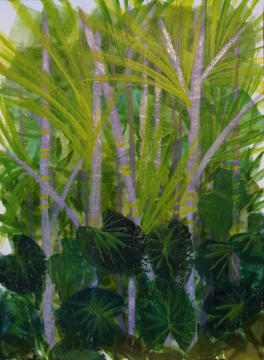 Purple King Palm, Image 1.