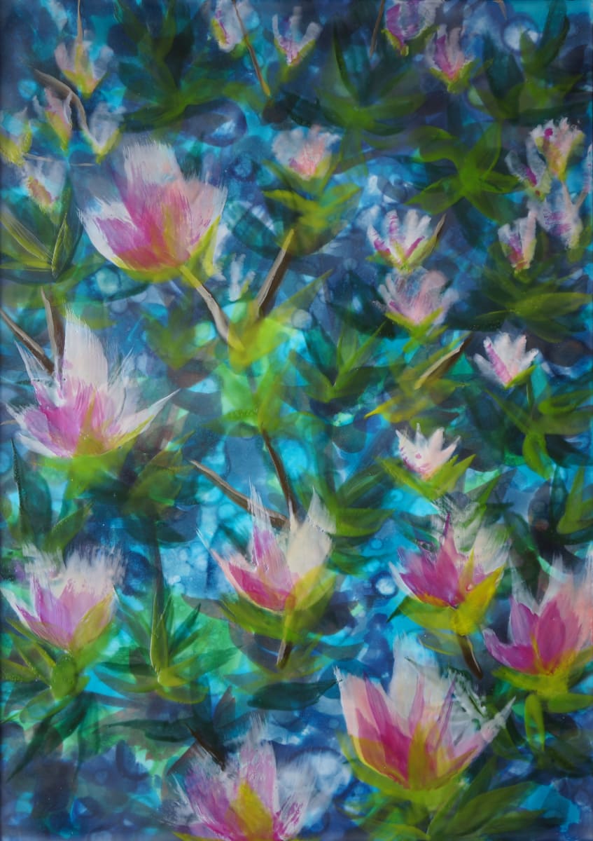 Magnolia by Sally Bramble 