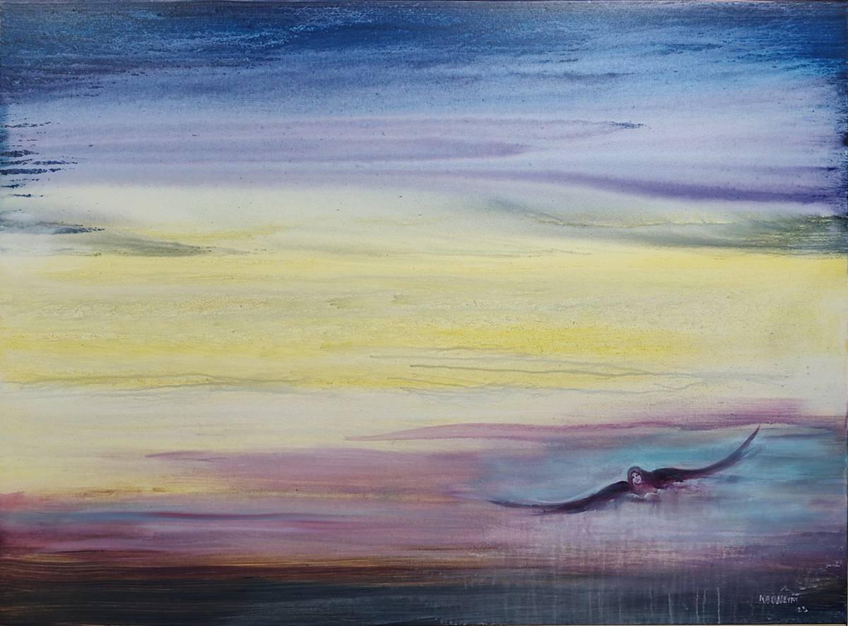 Evening Flight by Thom  Kapheim 