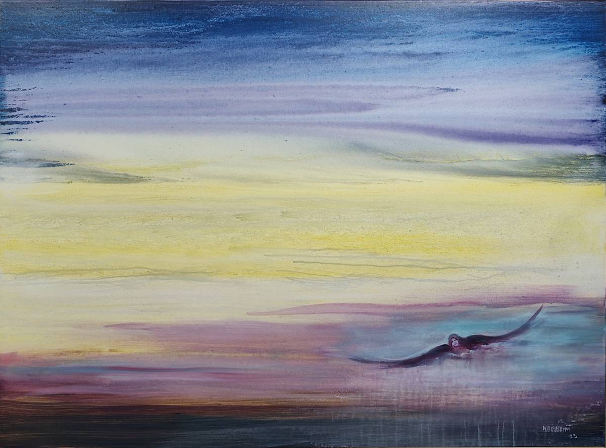 Evening Flight by Thom  Kapheim, Image 12.