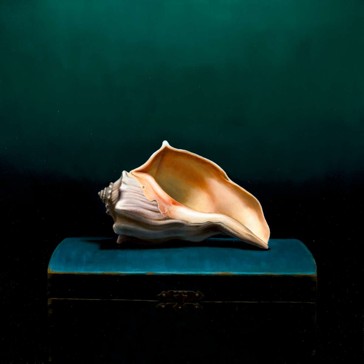Bald Head Island Shell 1 by Chris Clamp 