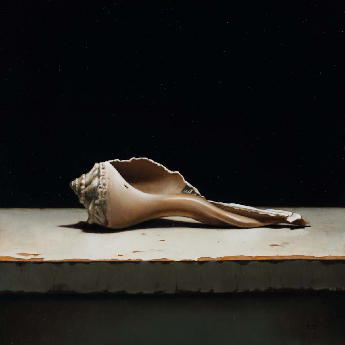 Sea Shell III by Chris Clamp 