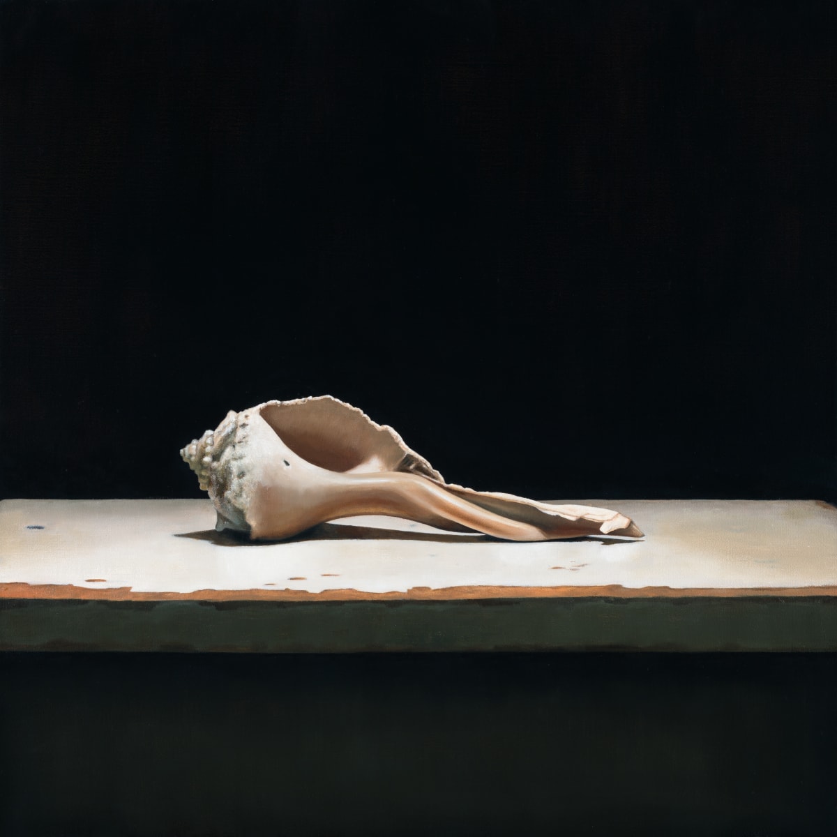 Sea Shell I by Chris Clamp 