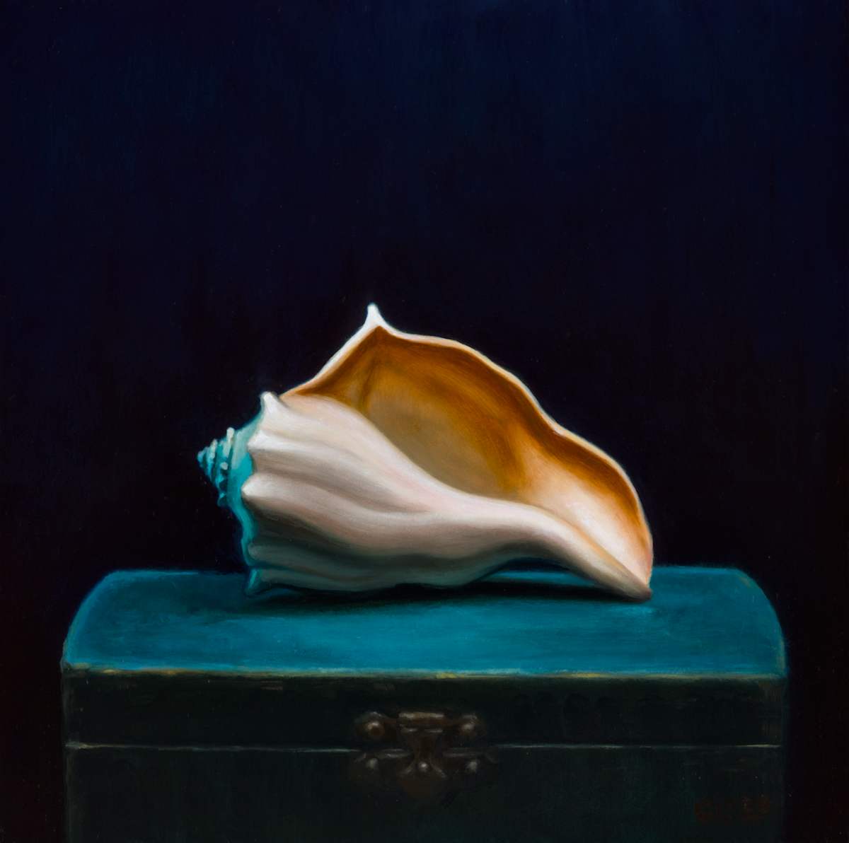 Shell Study (Blue) by Chris Clamp 
