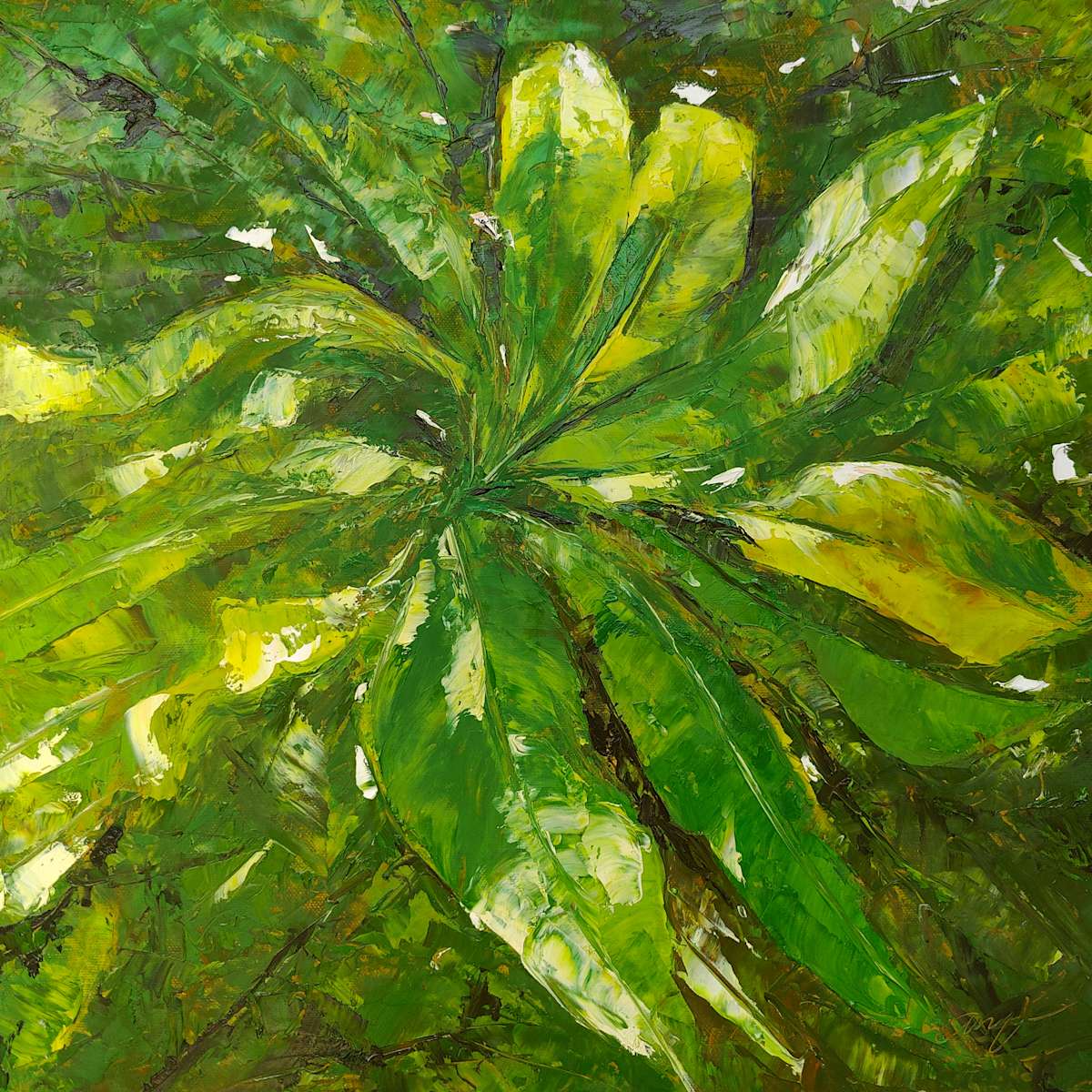 magoo by Ahmed Amir, Image 1.